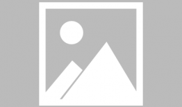 91在线女神直播,揭秘网红魅力背后的故事